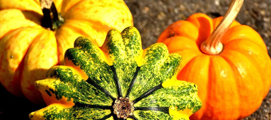 C'est l'Automne !