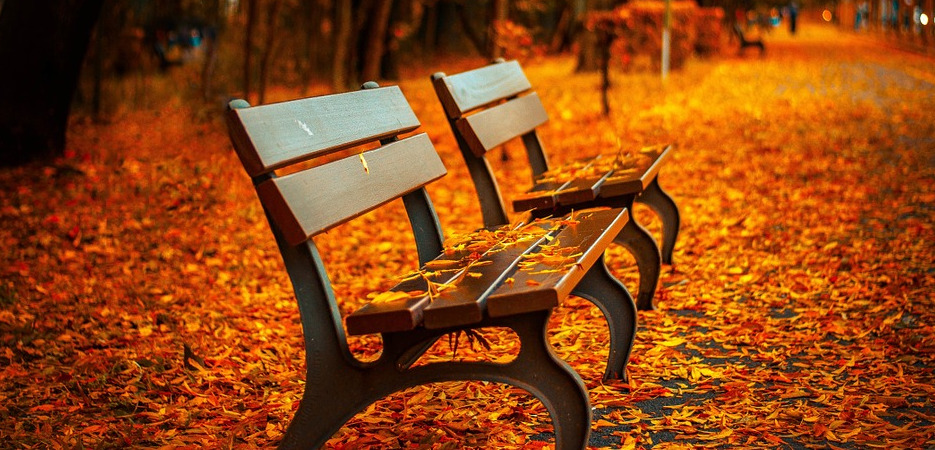 Couleurs Etincelantes