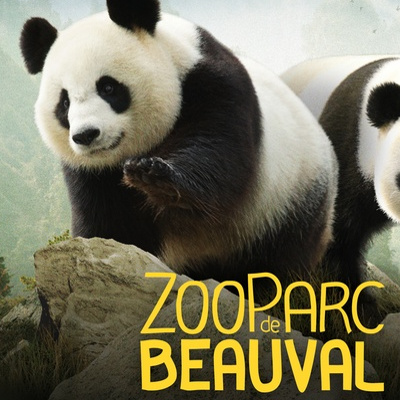 Zoo de Beauval